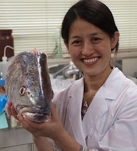 Rika Shinkai